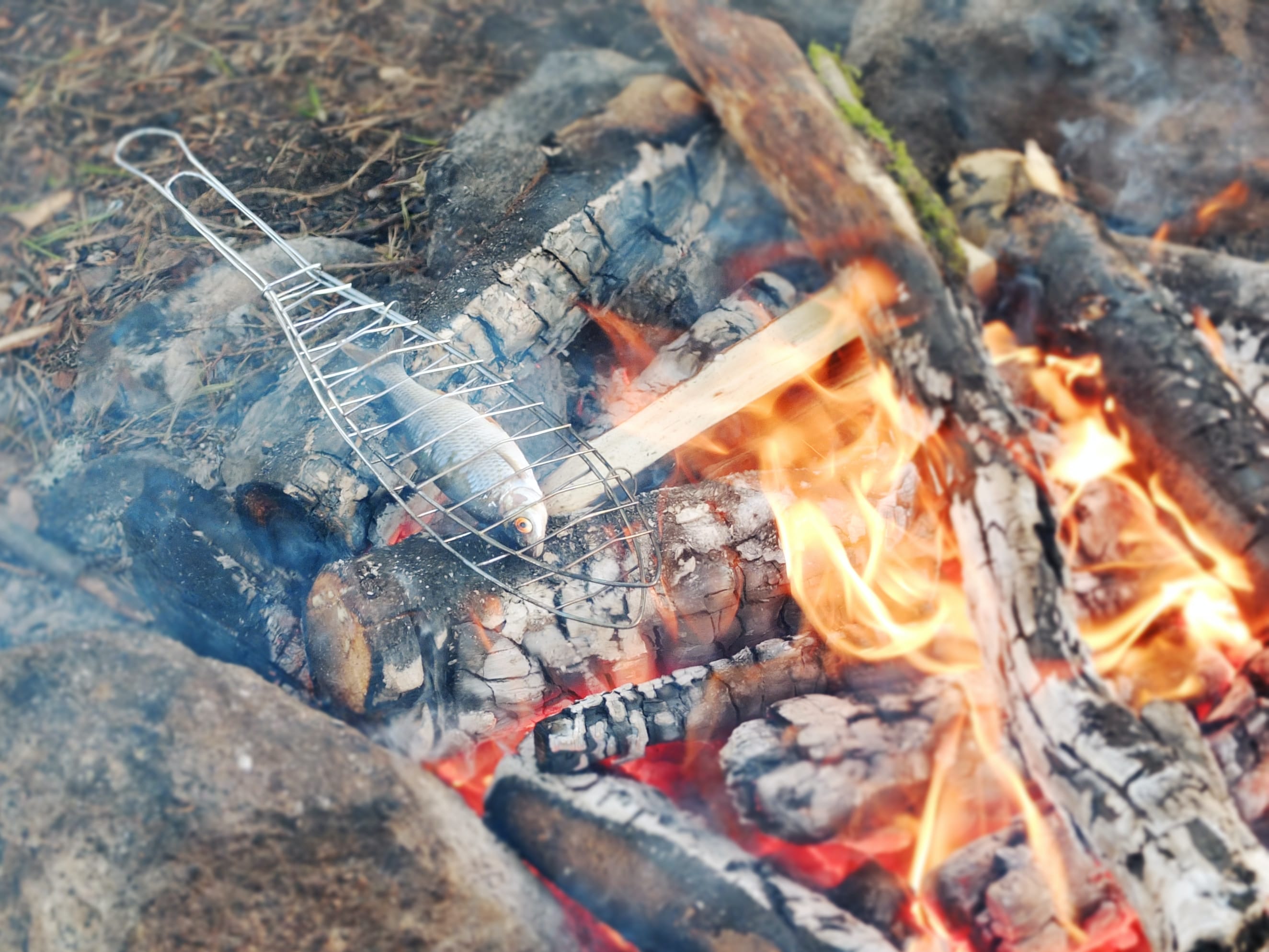 Mastering the Art of Open-Fire Cooking: Essential Techniques and Tips